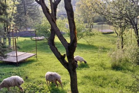 اجاره سوئیت در رودبار - حشمت آباد - سوئیت ۲