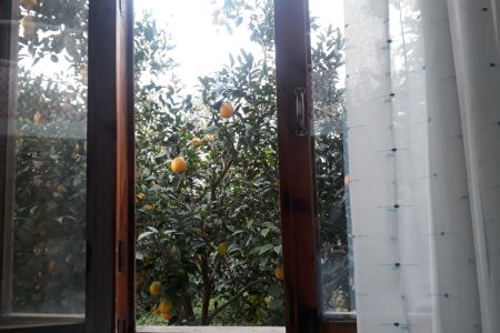 خانه ویلایی ساحلی در تنکابن - پلسرا