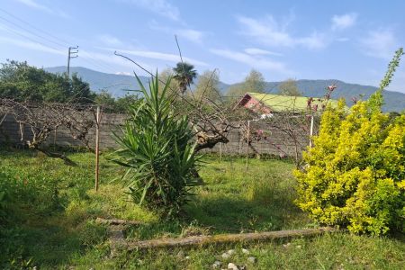 خانه ویلایی ساحلی در تنکابن - پلسرا