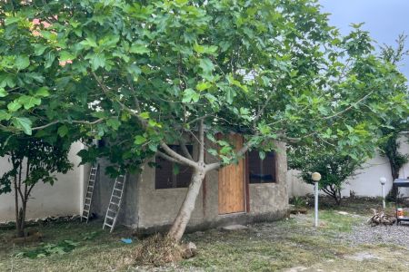 اجاره کلبه چوبی در فومن - معاف محله
