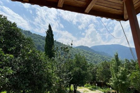 اجاره خانه ویلایی در نوشهر - ملکار