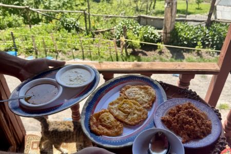 اجاره ویلا چوبی جنگلی در آلاشت با ویو زیبا