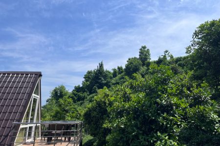 اجاره کلبه سوئیسی در لاهیجان - زمیدان