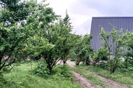 کلبه سوئیسی در بابلکنار - کلاریکلا - تیپ ۱