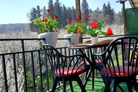 اجاره کلبه سوئیسی در بابلکنار - کلاریکلا