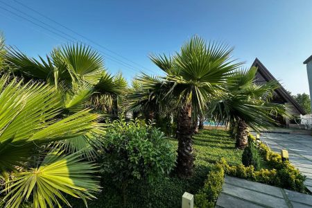 کلبه سوئیسی استخردار در سرخرود - حاجی کلا