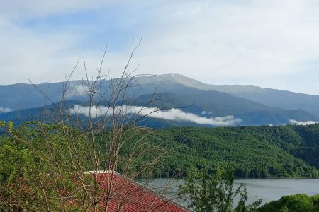 سوئیت مبله در لفور - میرارکلا