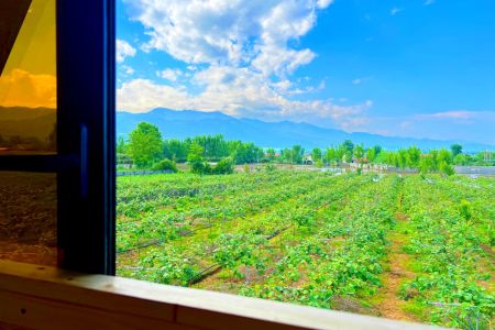 اجاره کلبه سوئیسی در تالش - دولبین