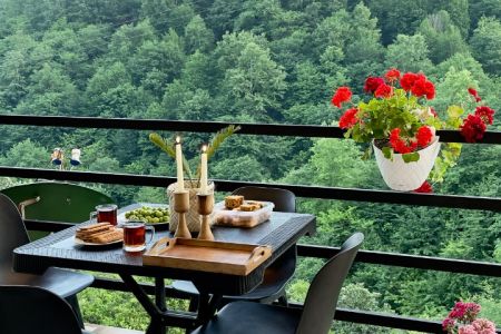 خانه ویلایی در دل جنگل رامسر - انجیرکش