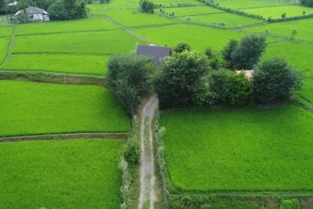 اجاره کلبه چوبی در ماسال - درخانه