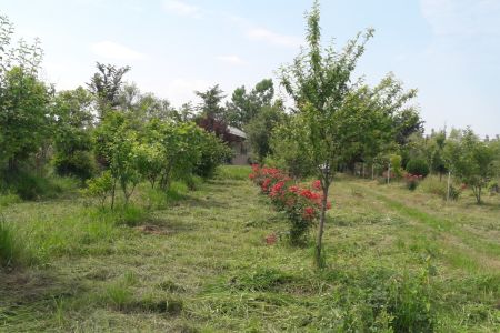 اجاره سوئیت حیاط دار در شفت - بالامردخه