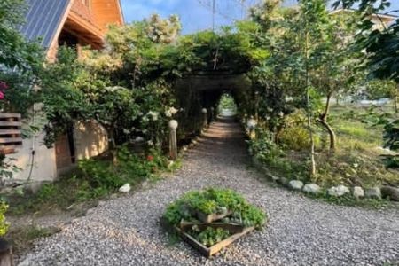 کلبه سوئیسی در نشتارود - کوتی بازار