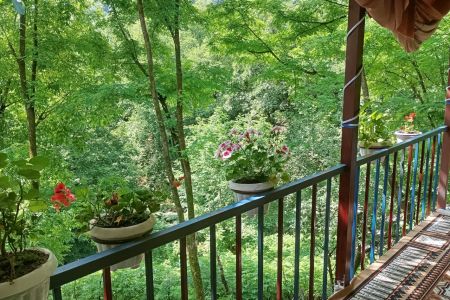 اجاره منزل ویلایی در ماسال - گنذر