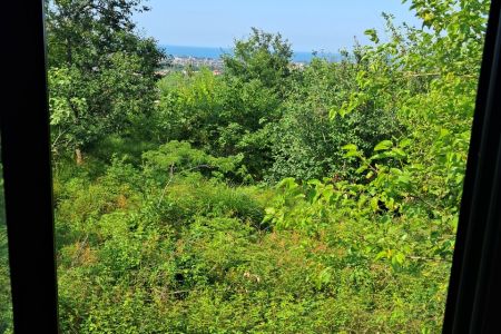 اجاره کلبه سوئیسی در رامسر - کتالم