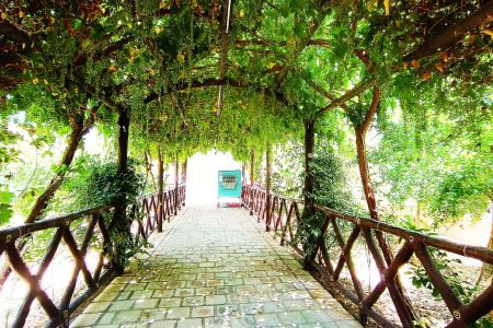 اجاره خانه ویلایی در کاشان - فین بزرگ