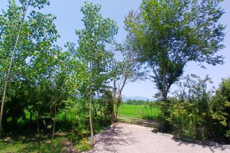 اجاره کلبه سوئیسی در طاهرگوراب - خانه کنار