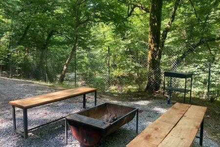 کلبه چوبی در مجموعه جنگلی در رویان