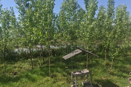 خانه ویلایی در ماسال - دوله ملال