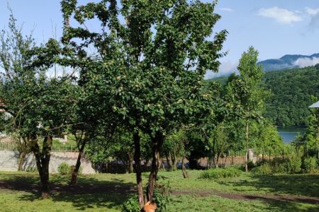 اجاره خانه روستایی در لفور - گالشکلا