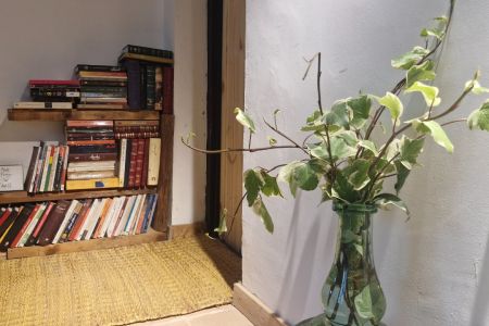 بومگردی در آستانه اشرفیه - ماشک سپهداری - سایه