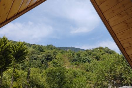 اجاره کلبه سوئیسی در شیرود - صالح آباد