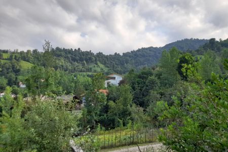 اجاره خانه ویلایی در شفت - سالک معلم