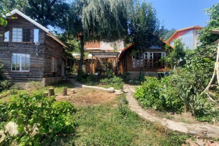 خانه چوبی با کلبه درختی در زیرآب - سرخکلاتپه