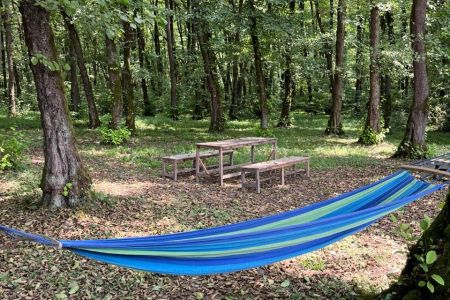 اجاره کلبه سوئیسی در گیسوم - لتیین