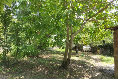 اجاره خانه روستایی در سراوان - موشنگاه