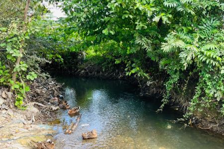 کلبه چوبی دوبلکس در شاندرمن - خودبچر