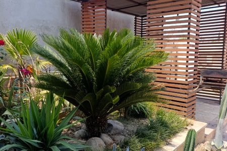 اجاره ویلا استخردار در محمودآباد - یمچی