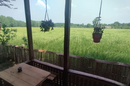 کلبه با نمای کاهگلی در لاهیجان - گلرودبار