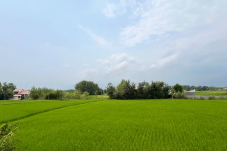 اجاره کلبه سوئیسی در کوچصفهان - کتیک لاهیجان