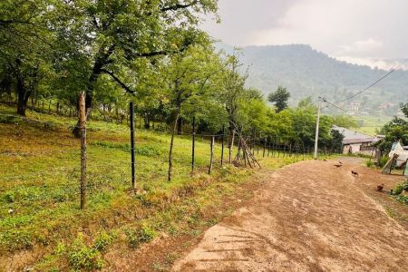 اجاره خانه ویلایی جنگلی در ماسال - ورمیه
