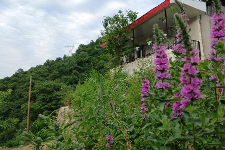 Renting a villa in Heyran - Angola Bascom