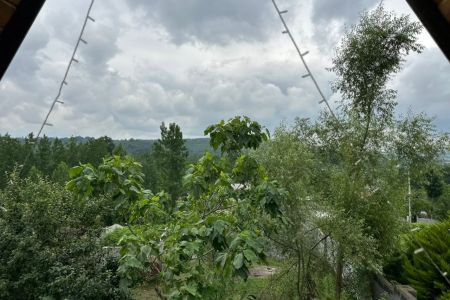 اجاره کلبه در بابلکنار - هلی خال