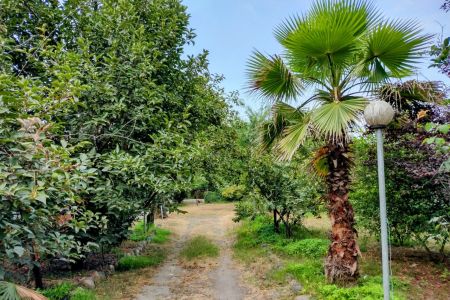 اجاره ویلا دوبلکس در آستارا - سیبلی