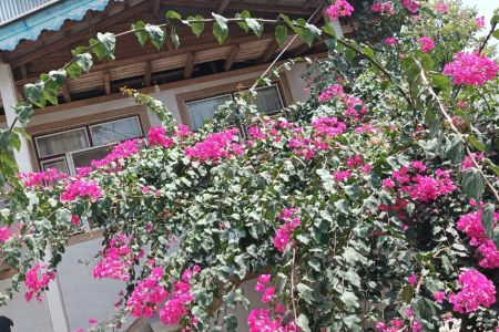 اجاره خانه ویلایی در اسالم - لوابن