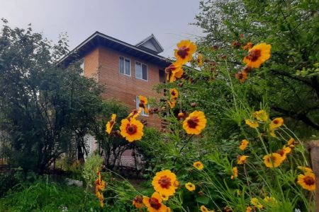 اجاره کلبه چوبی در ماسال - لیپا - واحد ۲