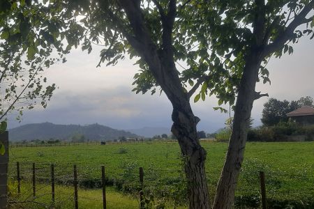 کلبه سوئیسی در فومن - گشت