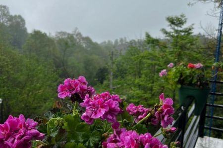 Renting a Forest Cottage with a Pool in Ramsar - Azharchal