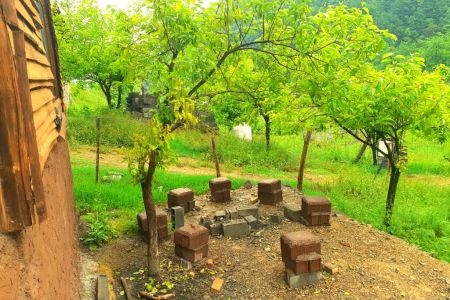 Renting a wooden hut in Lafur - Imam Kola