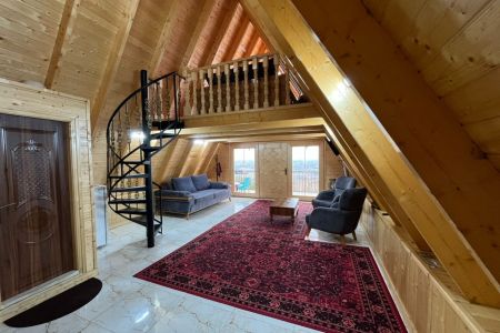 اجاره کلبه سوئیسی در بابلکنار - ازارسی