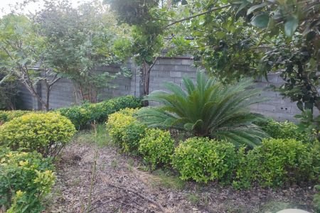 اجاره سوئیت در لاهیجان - نزدیک تالاب سوستان