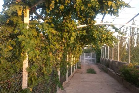 اجاره خانه حیاط دار در سی سخت