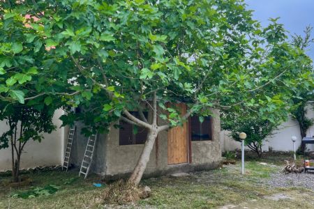 Renting a log cabin in Fuman - Exempt Neighborhood