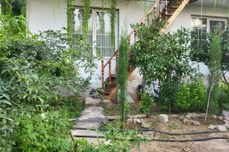 سوئیت حیاط دار با نمای پیچک در فومن - بوئین