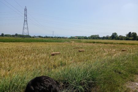 خانه مبله نزدیک رشت - همکف - واحد ۱
