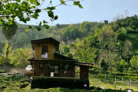 کلبه جنگلی با نمای بامبو در حومه لاهیجان