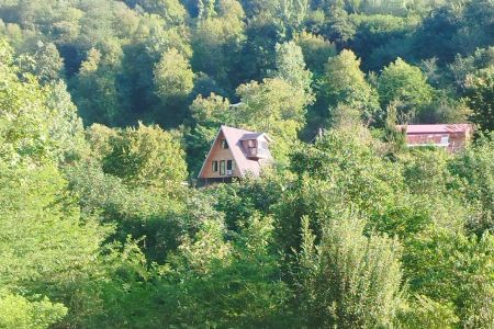 کلبه سوئیسی جنگلی در ماسال - سلیم آباد